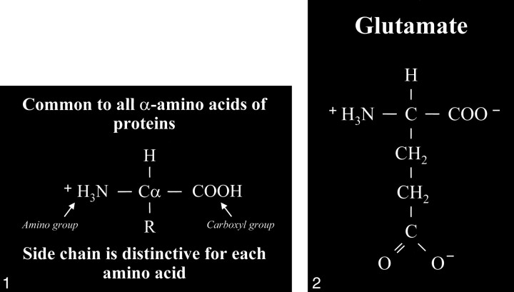 fig 1.