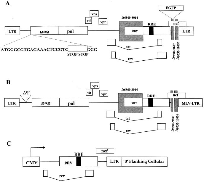 FIG. 1