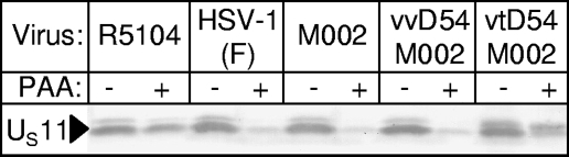 FIG. 5.