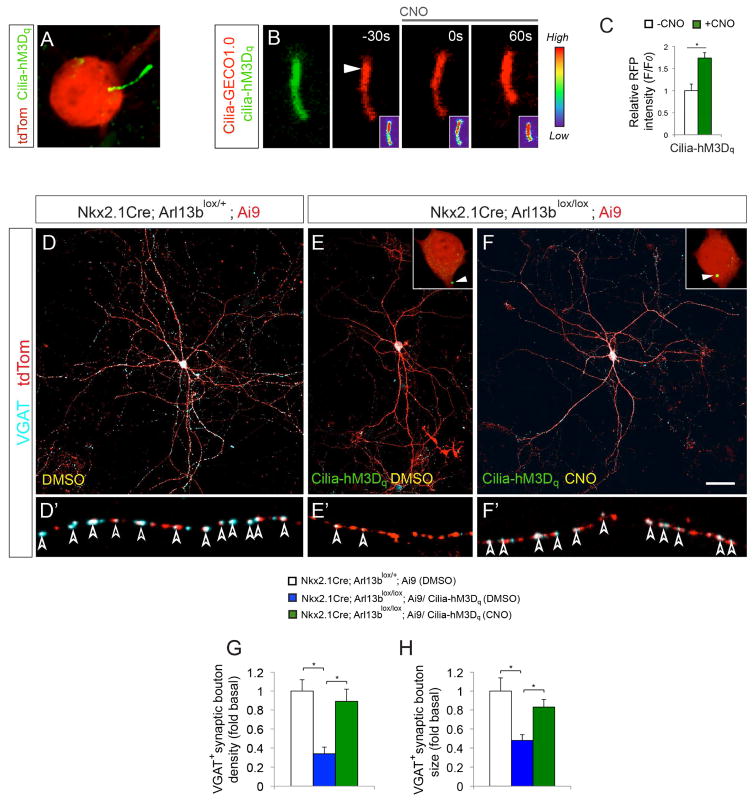 Figure 6