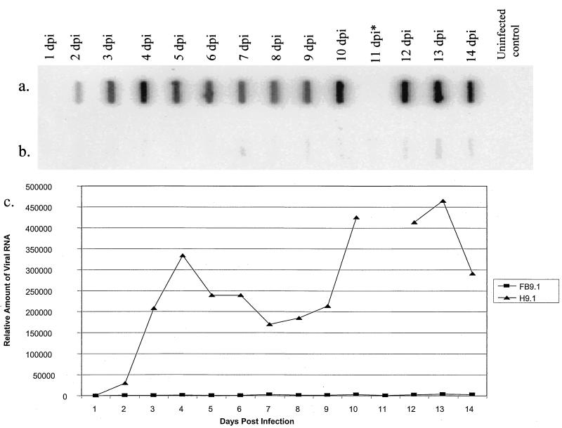 FIG. 7.