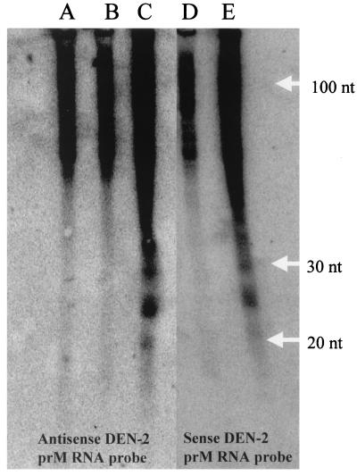 FIG. 8.