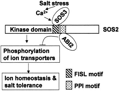 Fig. 8.
