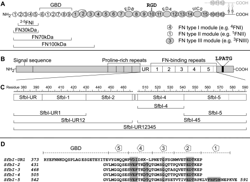 FIGURE 1.