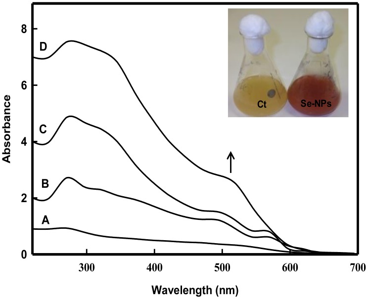 Figure 6