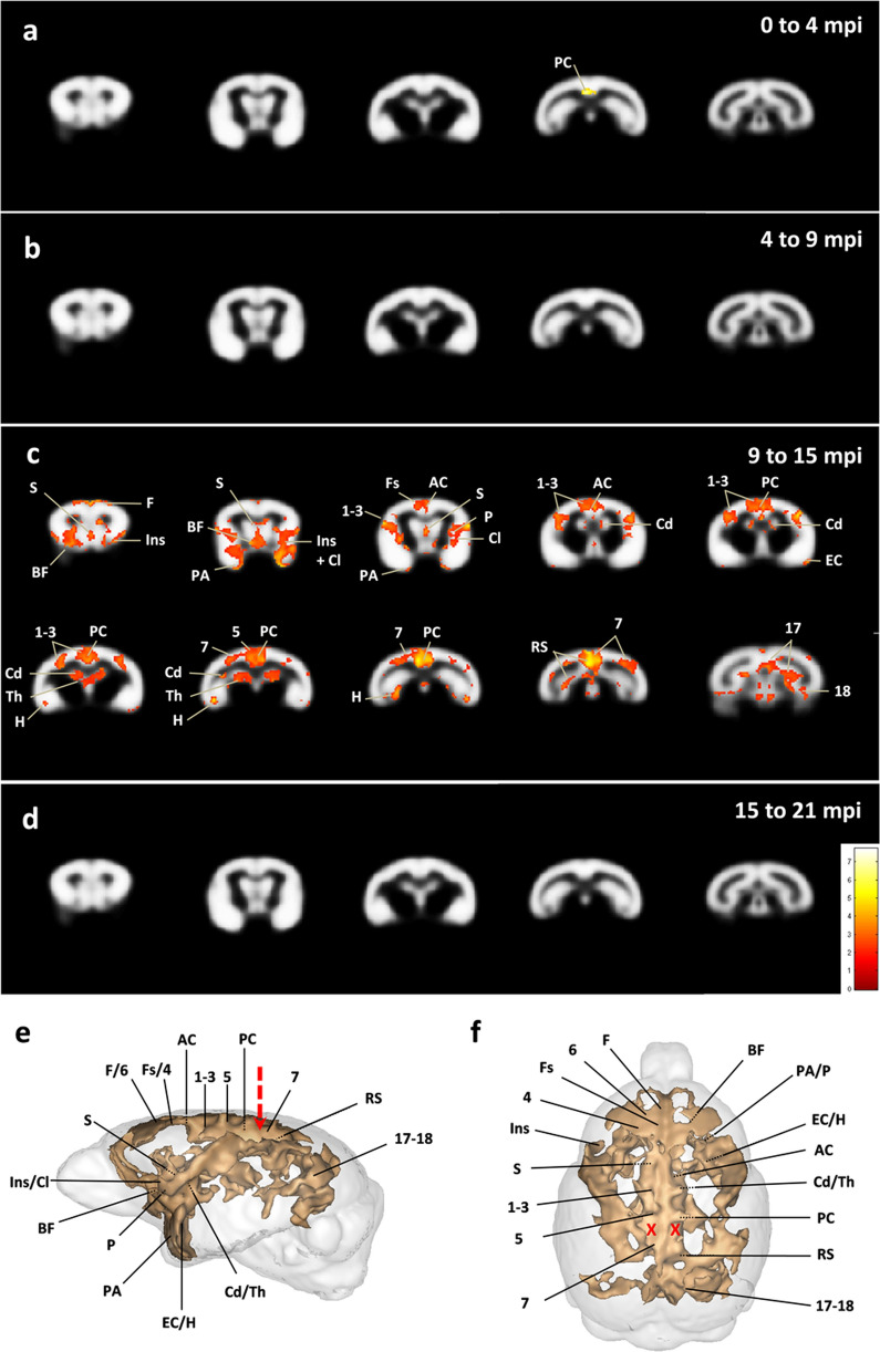 Fig. 12