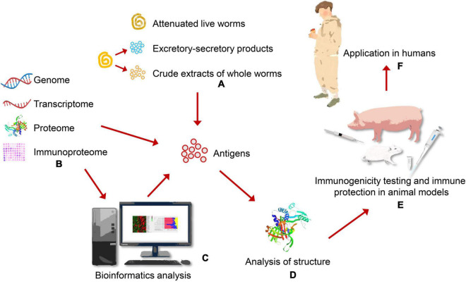 FIGURE 1