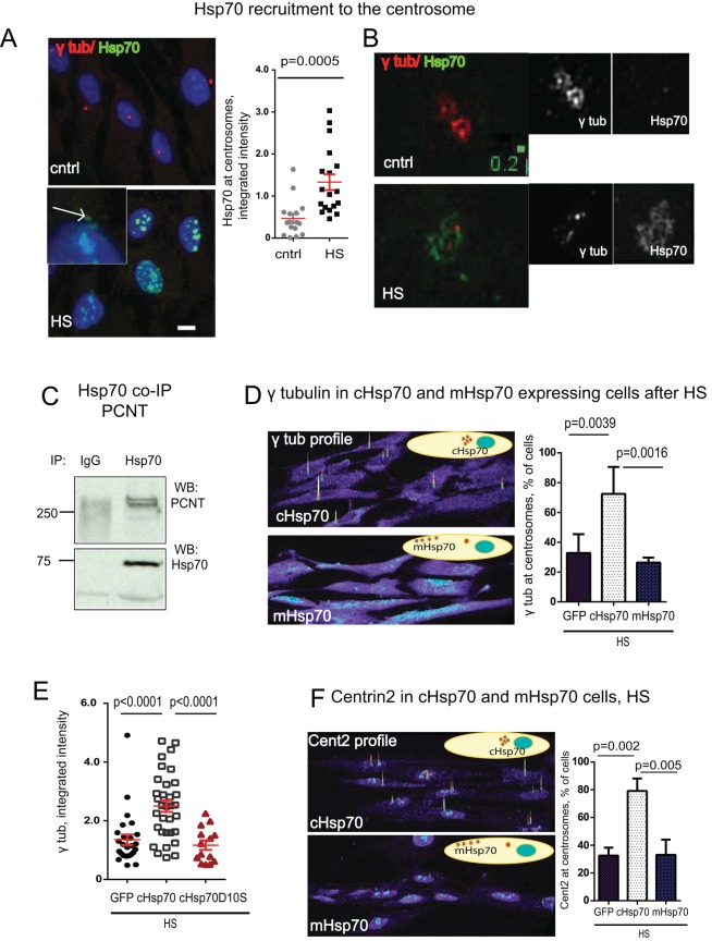 FIGURE 6: