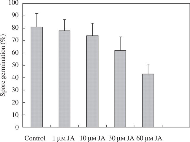 Fig. 8.