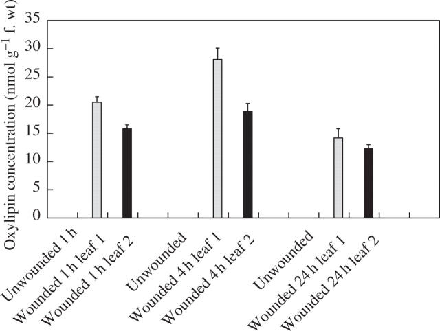 Fig. 4.