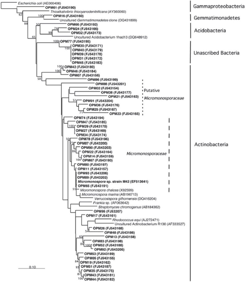 FIGURE 11