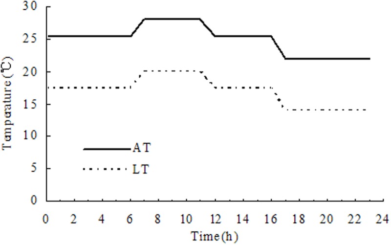 FIGURE 1