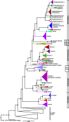 Fig. 3