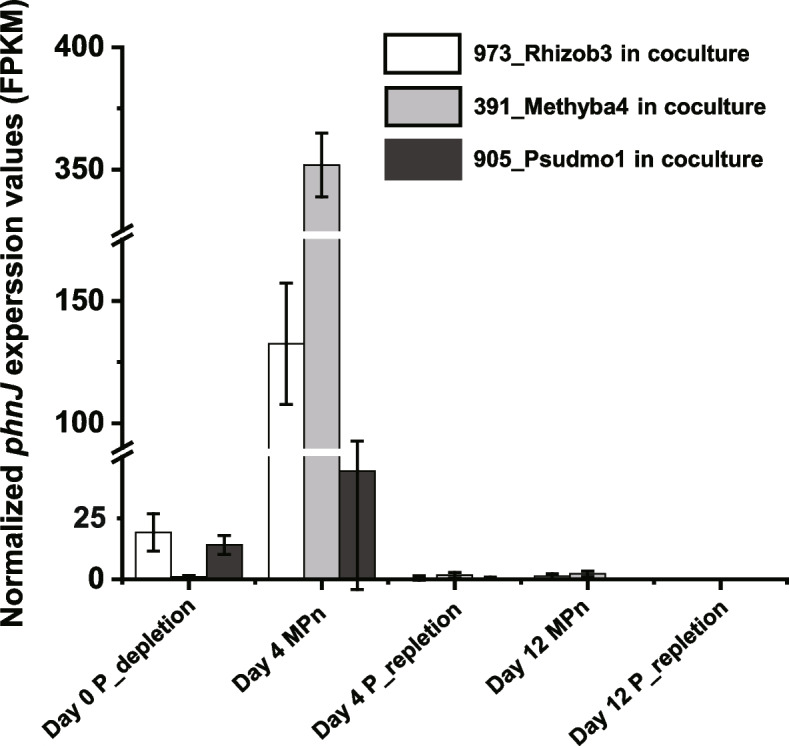 Fig. 6