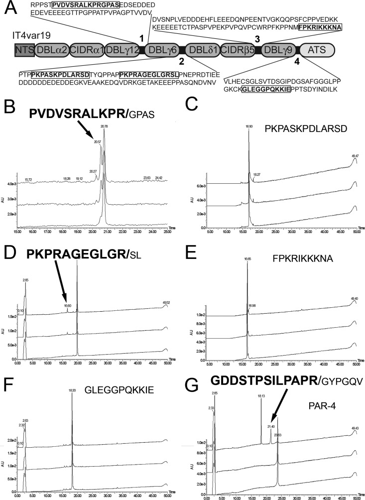 FIG 4 