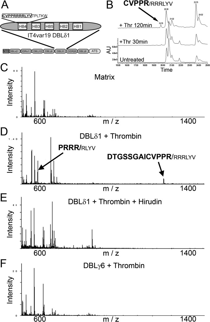 FIG 3 