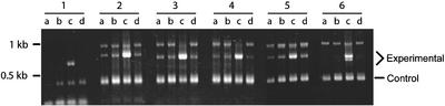 Figure 6.