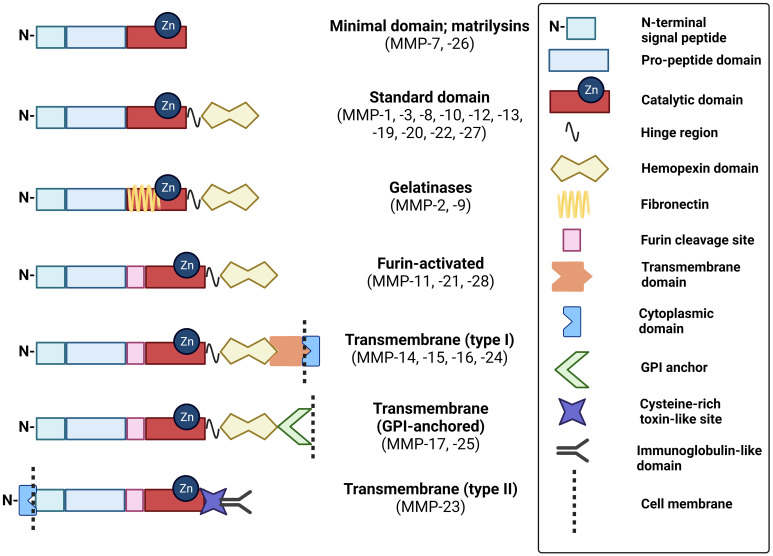 Figure 1