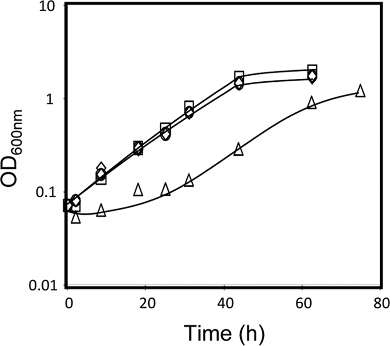 FIG. 5.