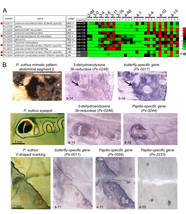 Figure 10