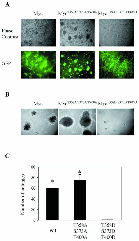 FIG. 7.