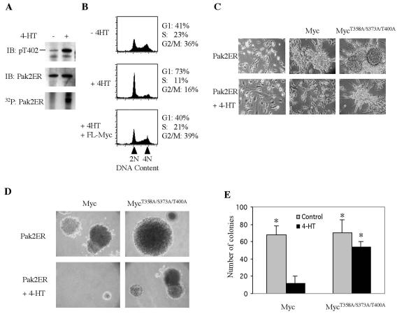 FIG. 8.