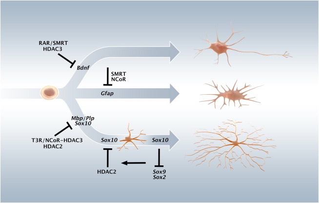 Figure 6