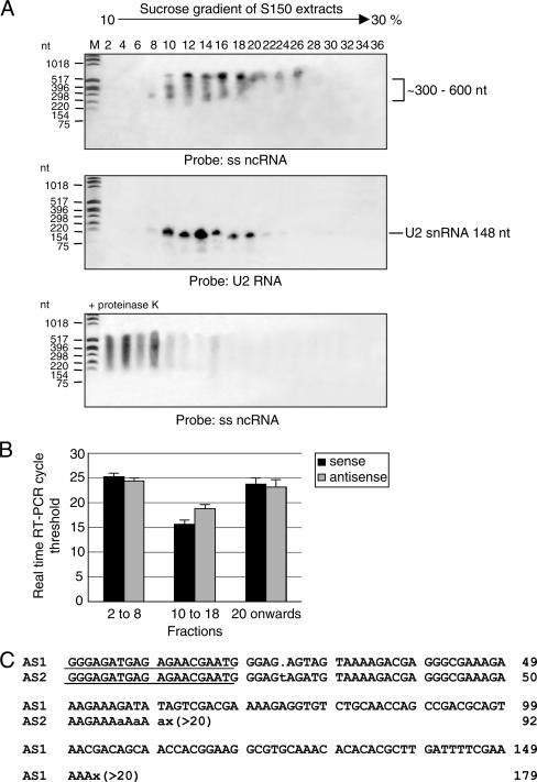 FIG. 8.
