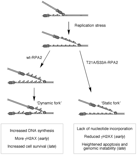 Fig. 9.