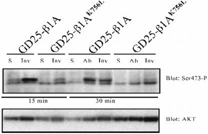 Figure 10.