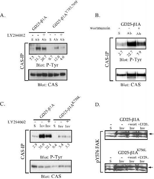 Figure 9.