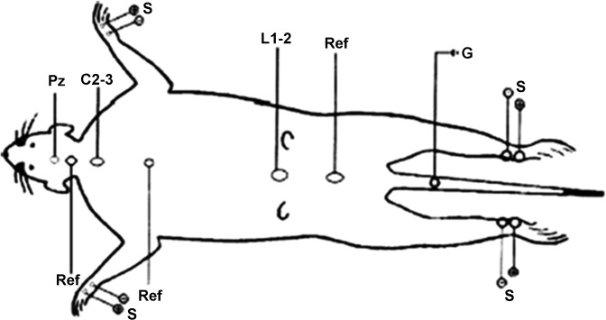 Fig. 1.