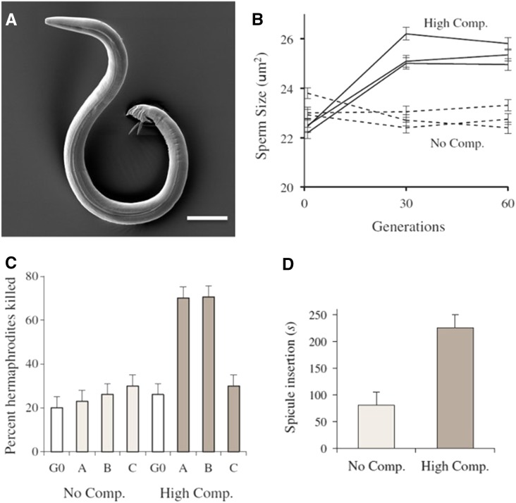 Figure 14