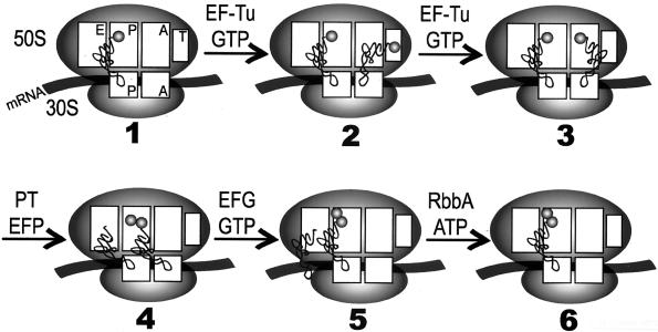 FIG. 8.