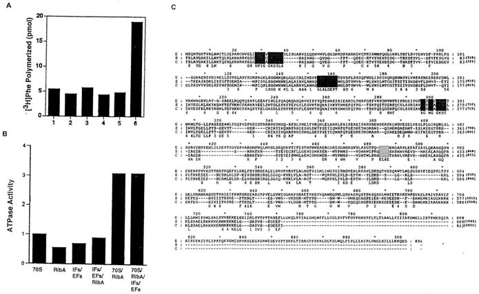 FIG. 9.