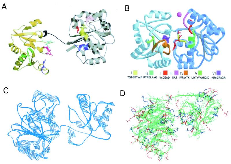 FIG. 1.