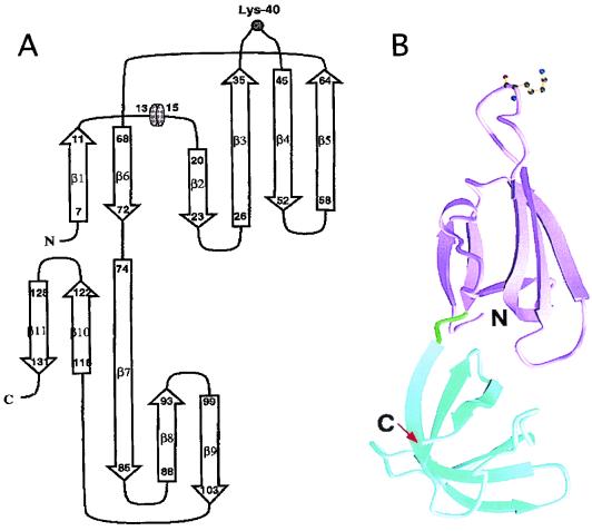 FIG. 5.