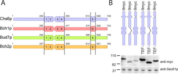 FIGURE 1: