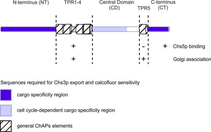 FIGURE 10: