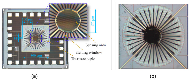 Figure 12