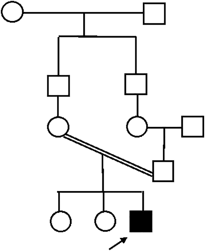Fig. 8