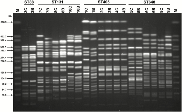 Figure 2.