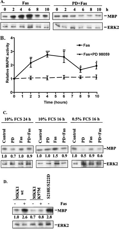 FIG. 7