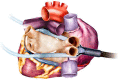 Figure 1: