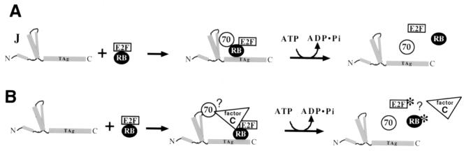 FIG. 8.