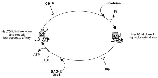 FIG. 6.