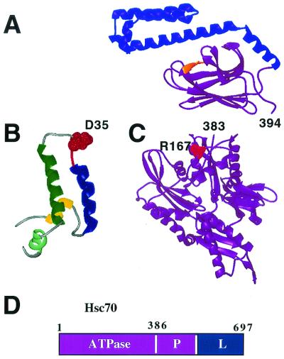 FIG. 5.