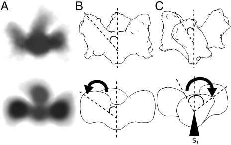 Fig. 5.