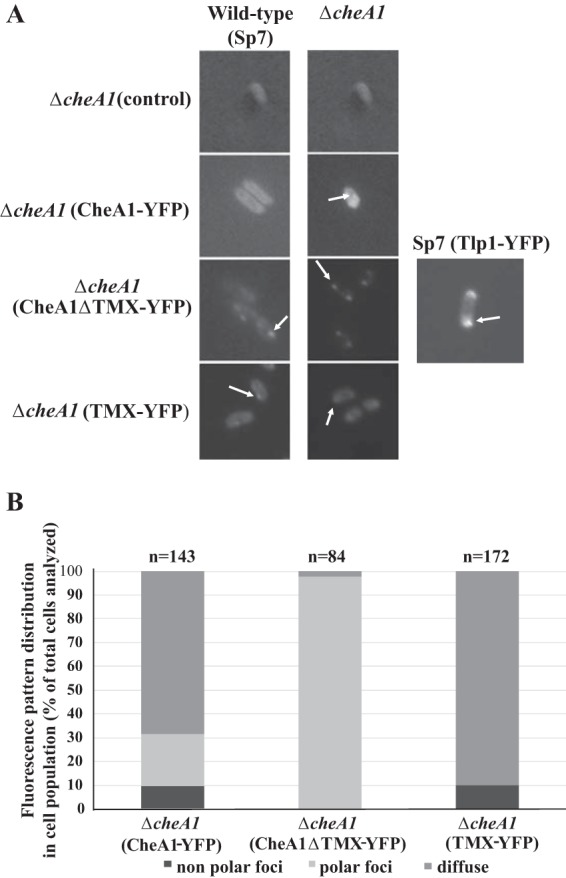 FIG 6