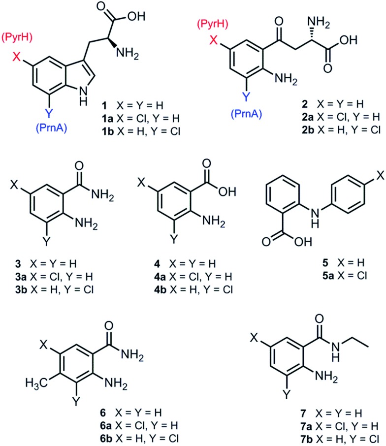 Fig. 2